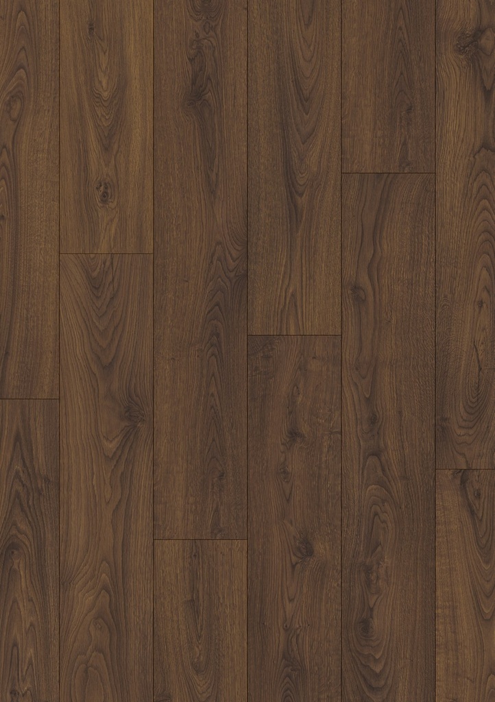 [CLM5800] Pindabruine eik