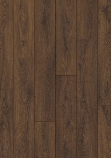 [CLM5800] Pindabruine eik