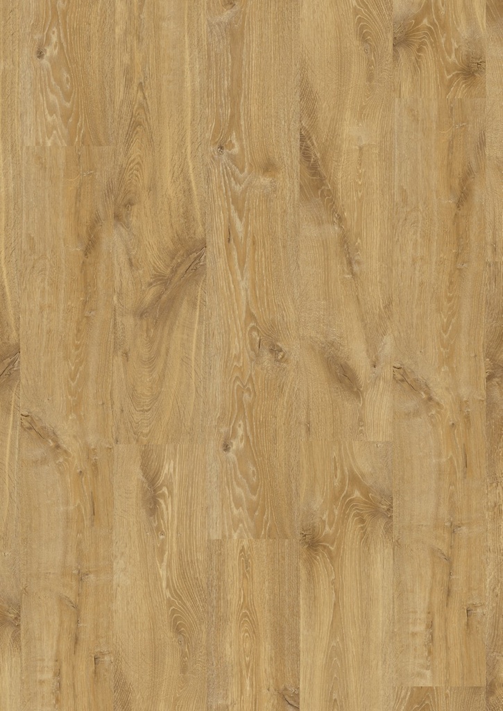 [CRH3176] Louisiana naturelle eik