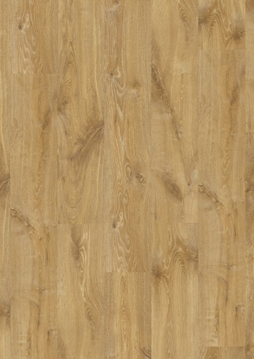[CRH3176] Louisiana naturelle eik