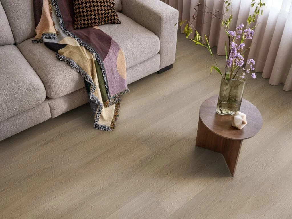 [6050100419] Soleno dryback dark oak