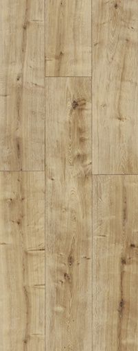 [VVN-A0558FFBE7] Rose Wide