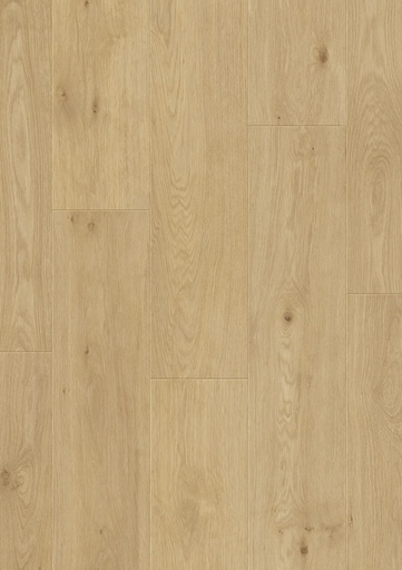 [VVN-0897A0E1C4] Just Wide