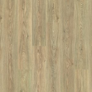 [VVN-171513A5C3] Charm Wide