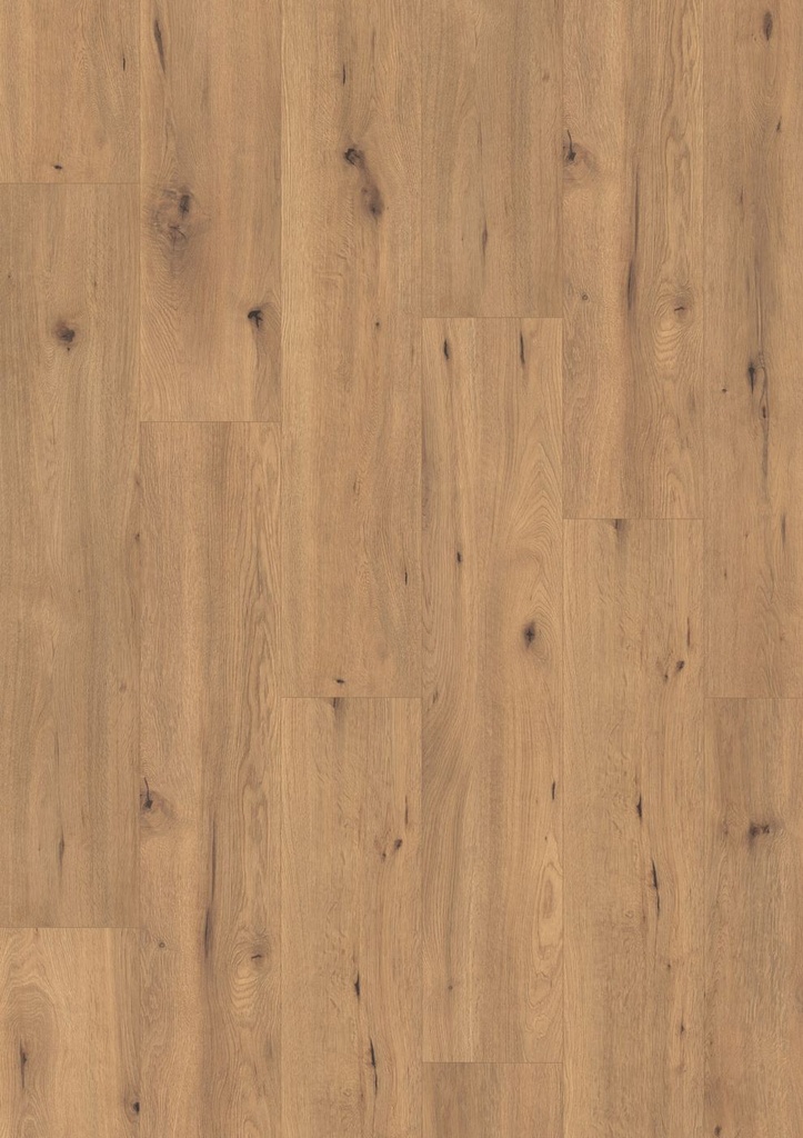 Aqua Large V4 8mm Drift Oak