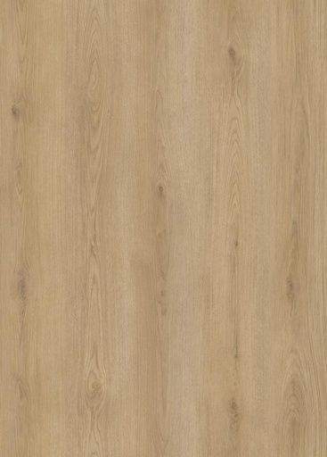 [HOOMLINE-CID-Arnhem-PL] Hoomline City Dryback Arnhem 6001
