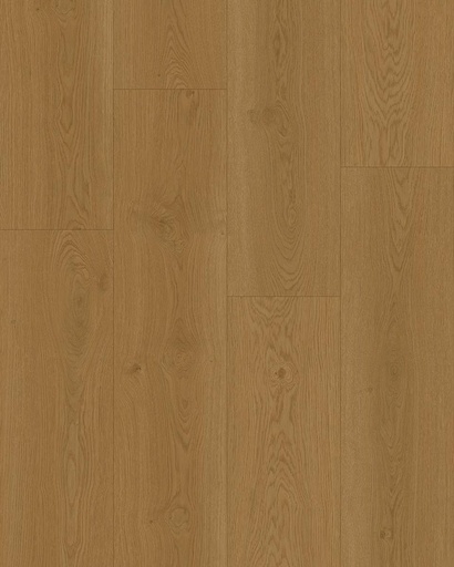 [HOOMLINE-ELD-Lepelaar-PL] Hoomline Elegance Dryback Plank Lepelaar 51317
