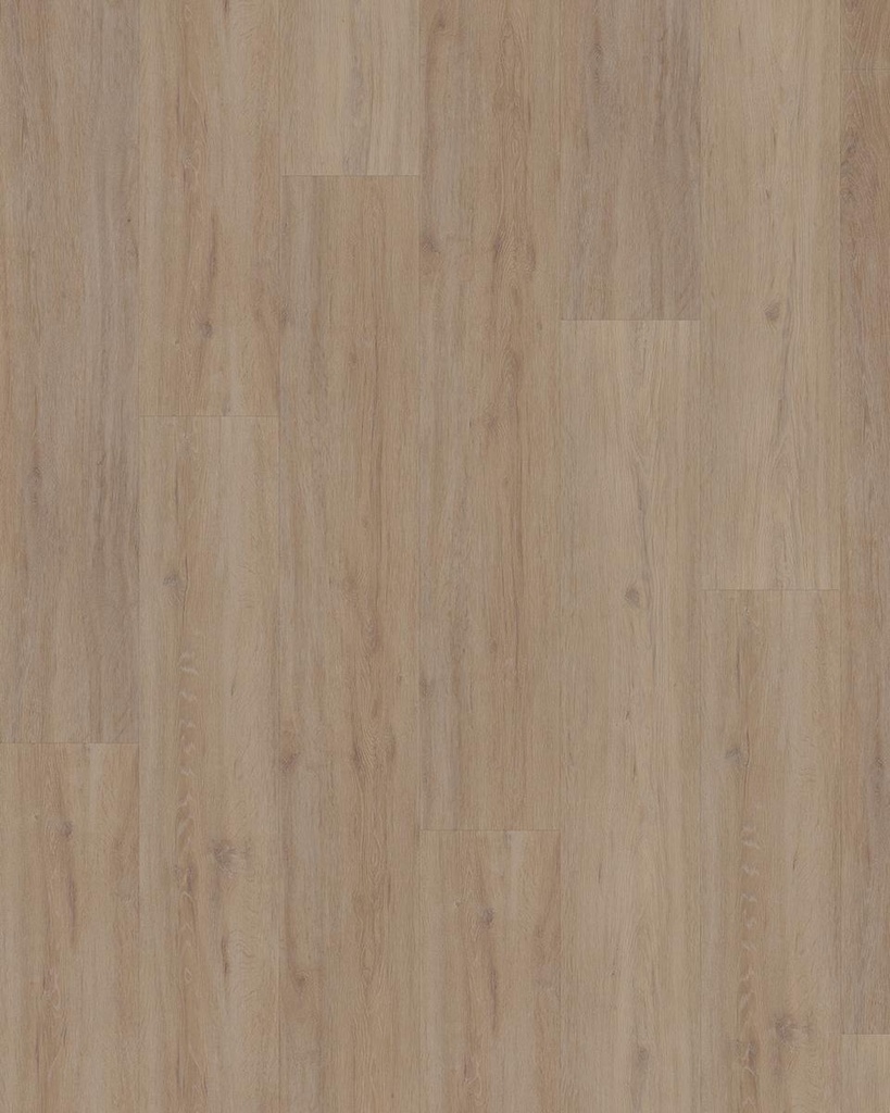 Fusion Superior XL Gotham Oak Oiled
