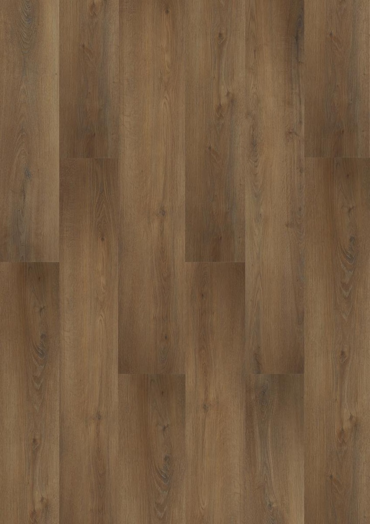 Hoomline Prestige Dryback Port Grimaud 5079 Plank
