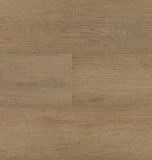 [HEBETA-54856] Hebeta Chablis 54856 Plank XL Dryback