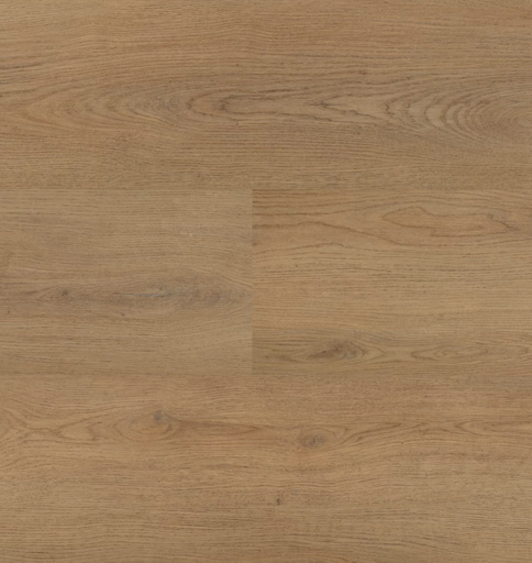 [HEBETA-54857] Hebeta Chablis 54857 Plank XL Dryback