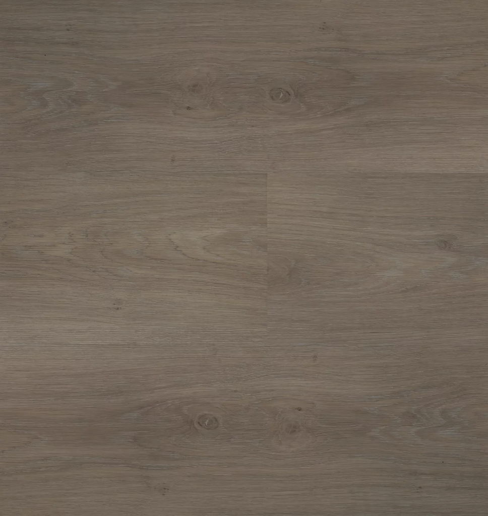 Hebeta Chapelle 54840 Plank XL Dryback