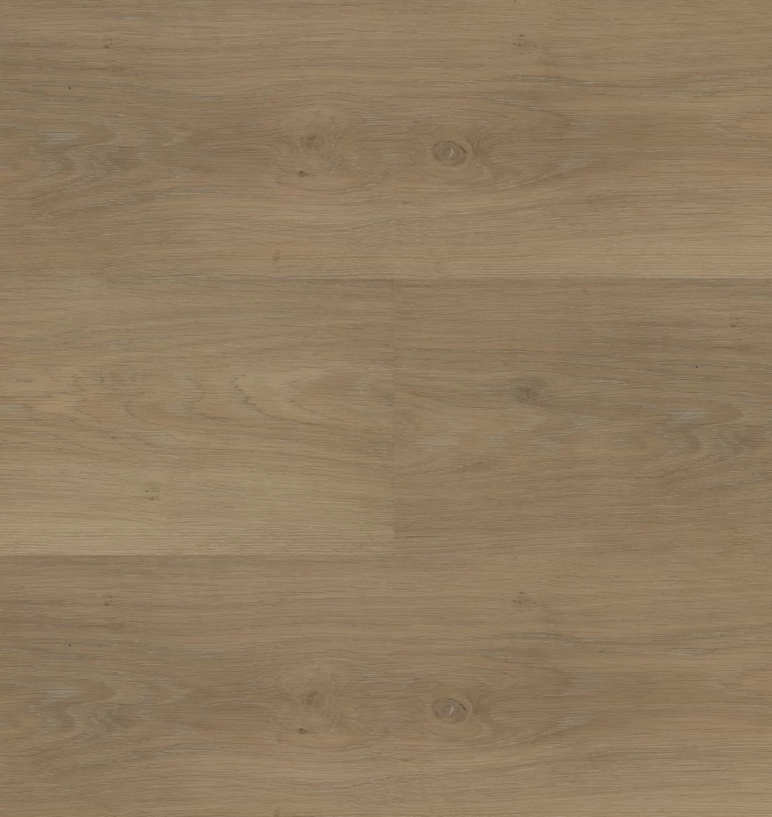 Hebeta Chapelle 54841 Plank XL Dryback