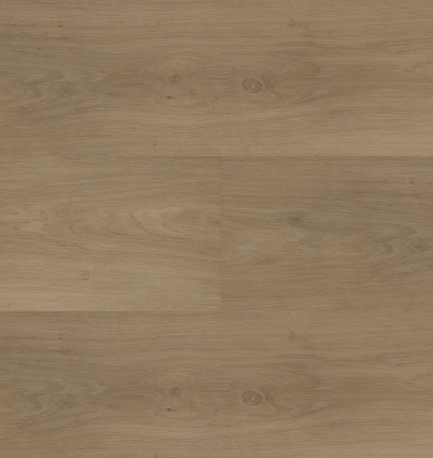 [HEBETA-54841] Hebeta Chapelle 54841 Plank XL Dryback