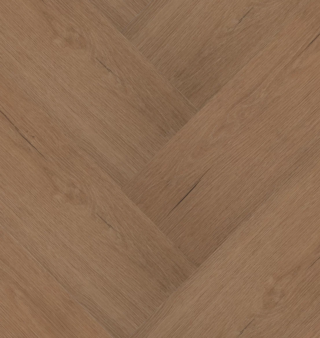Hebeta Château 77851 Visgraat XL Dryback