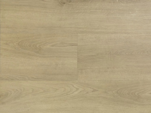 [HEBETA-54820] Hebeta Clermont 54820 Plank XL Dryback