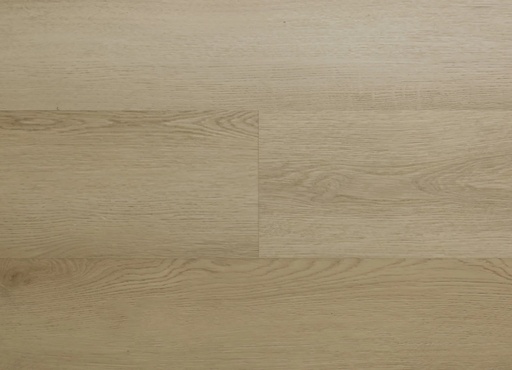 [HEBETA-54823] Hebeta Clermont 54823 Plank XL Dryback