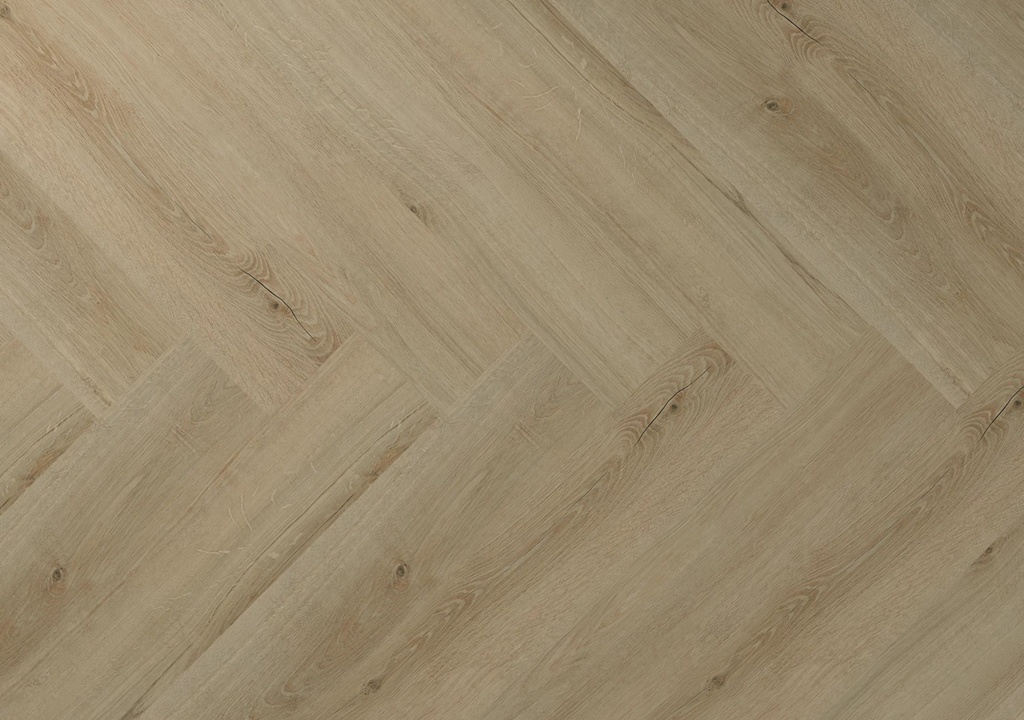Hebeta Clermont 77823 Visgraat Dryback