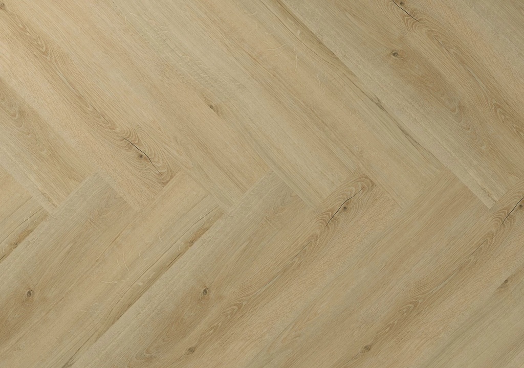 Hebeta Clermont 77821 Visgraat Dryback