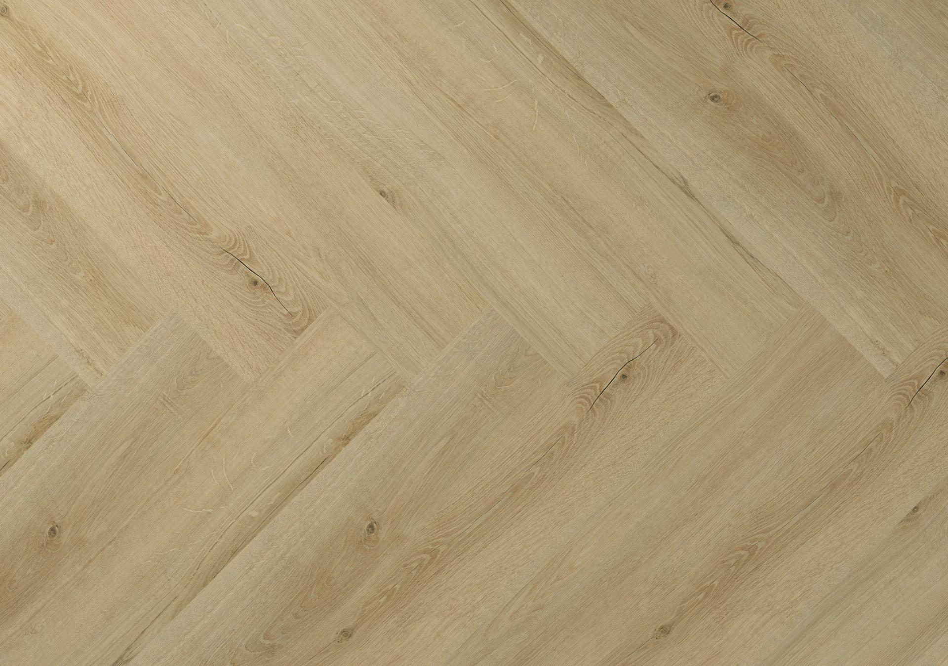 Hebeta Clermont 77821 Visgraat Dryback