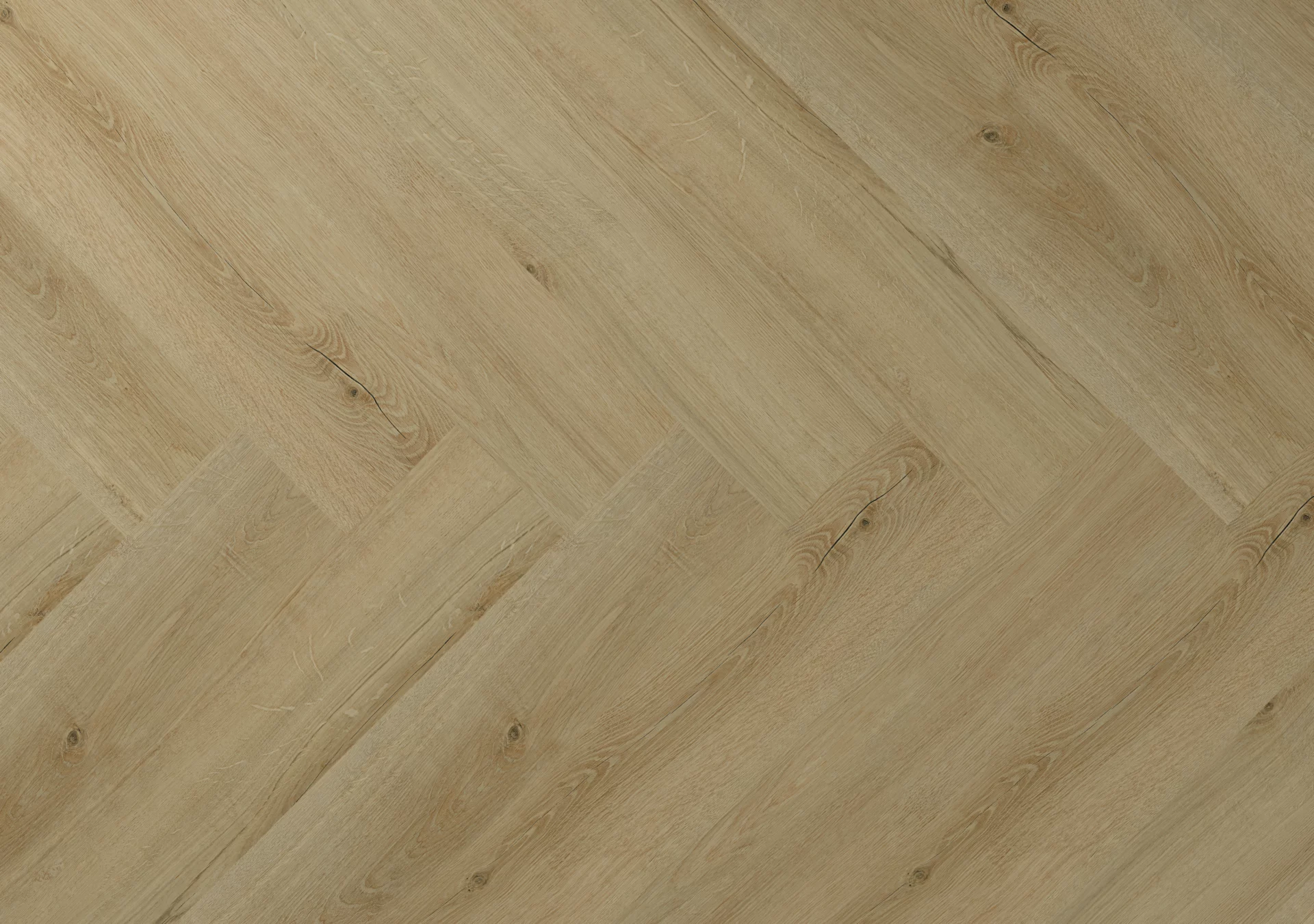 Hebeta Clermont 77822 Visgraat Dryback