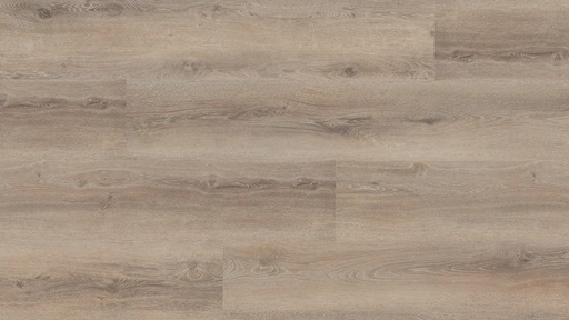 [HEBETA-55817] Hebeta Progress 55817 Plank XL Click