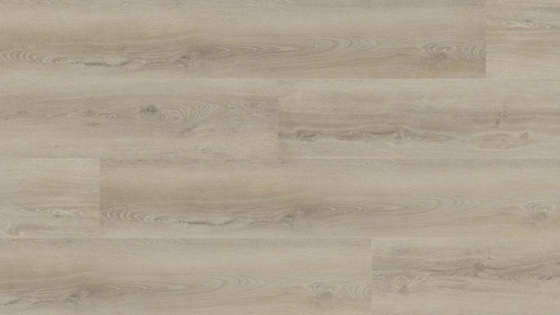 [HEBETA-55816] Hebeta Progress 55816 Plank XL Click