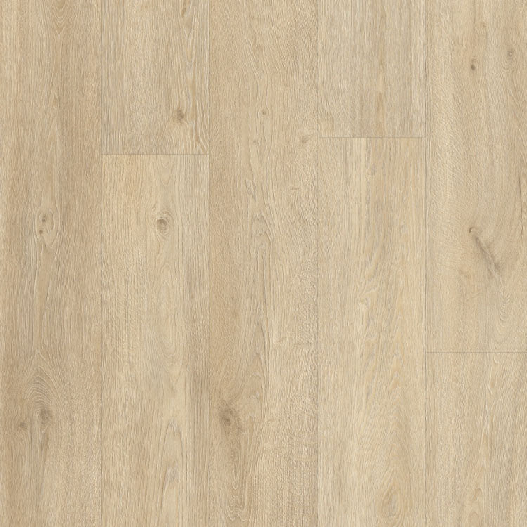Moduleo Roots Galtymore Oak 86237 Plank XL Dryback