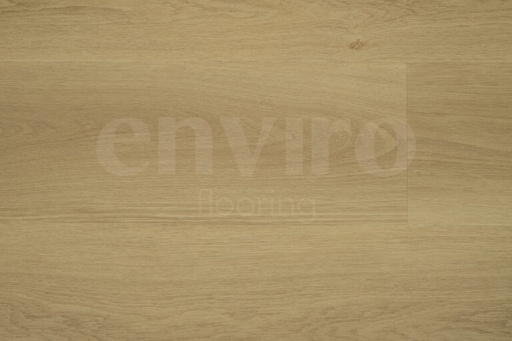 [0000555013397] 005 PLANK CLICK SPC