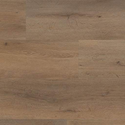 [0000000000014] 013 PLANK CLICK SPC