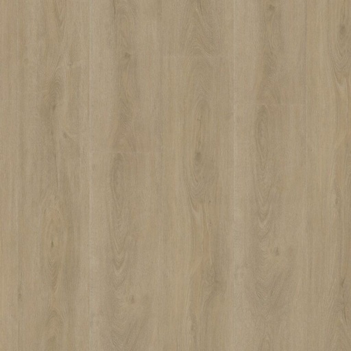 [0000000000031] 010 PLANK CLICK SPC