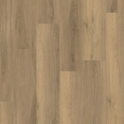 [0000000000035] 011 PLANK CLICK SPC