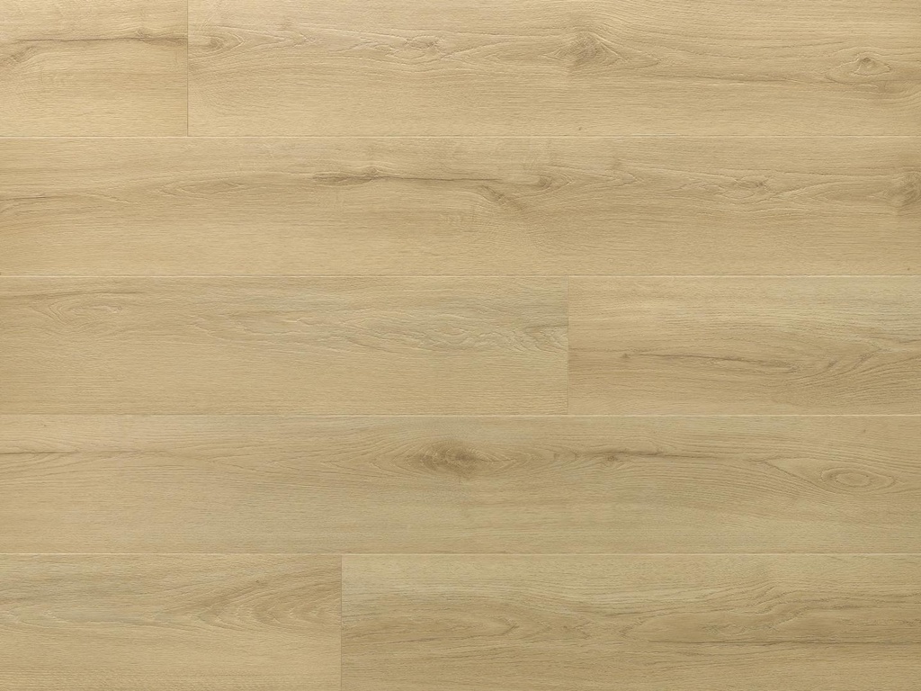 [5905167861462] PRINCETON SPC PLANK ARBITON