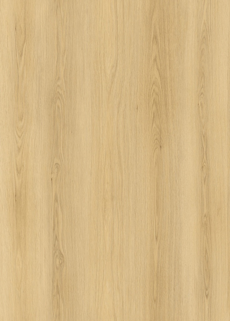 [6097045094006] WB V-FLOOR LP02 LVT DRYBACK PLANK